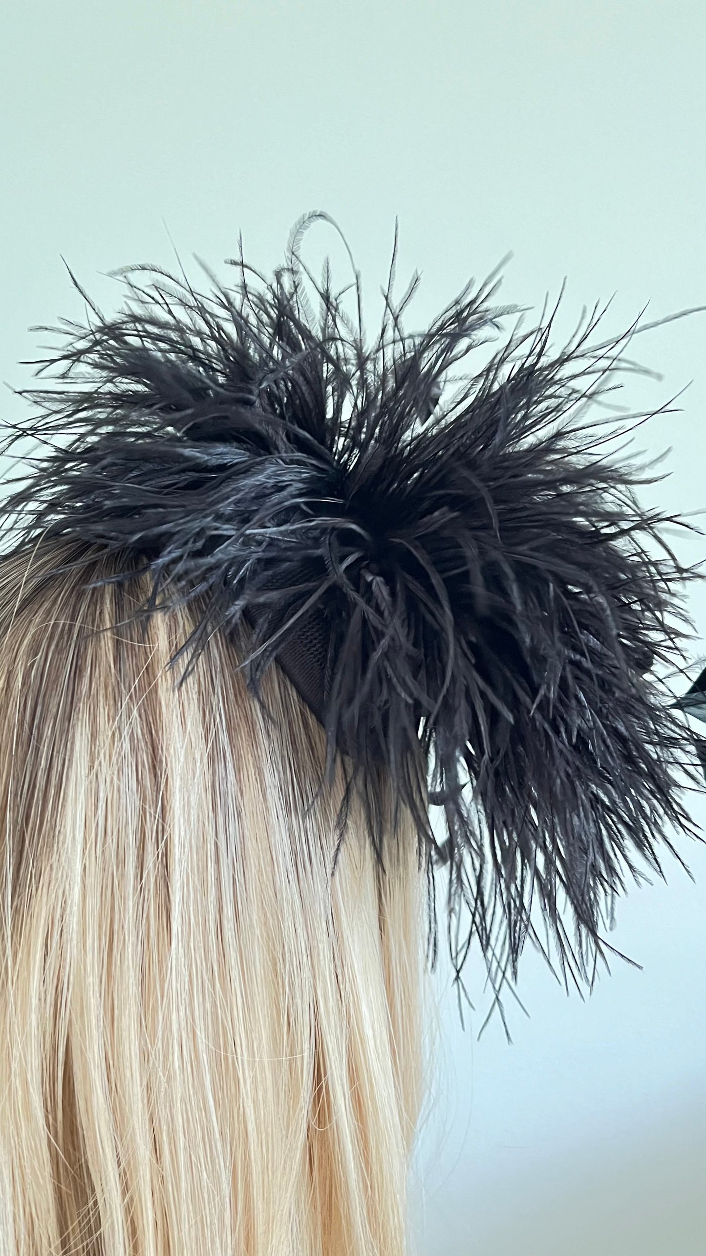 Black Fascinator Feathers